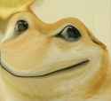 POGE mascot, a doge and pepe hybrid face